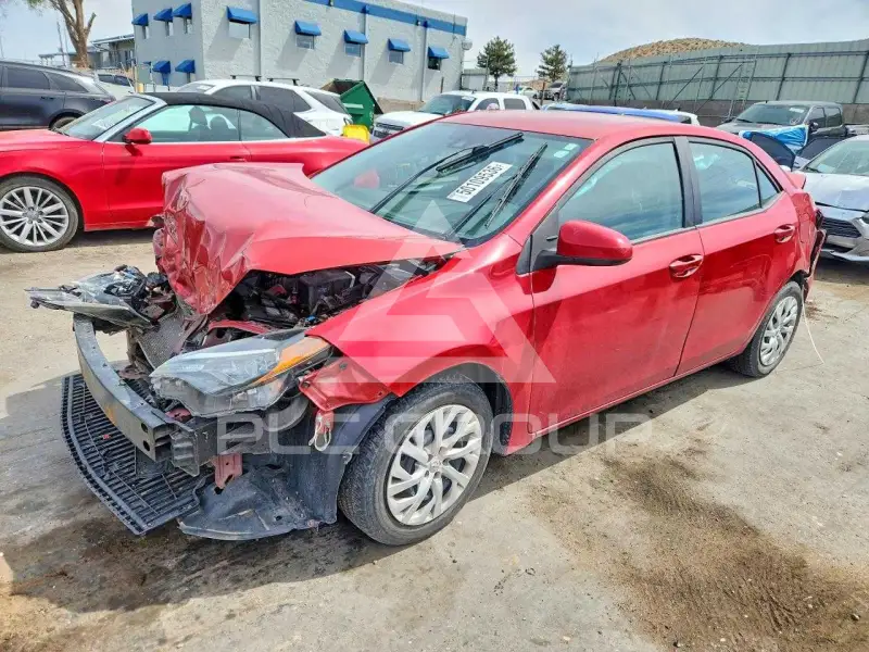 2019 Toyota COROLLA фото