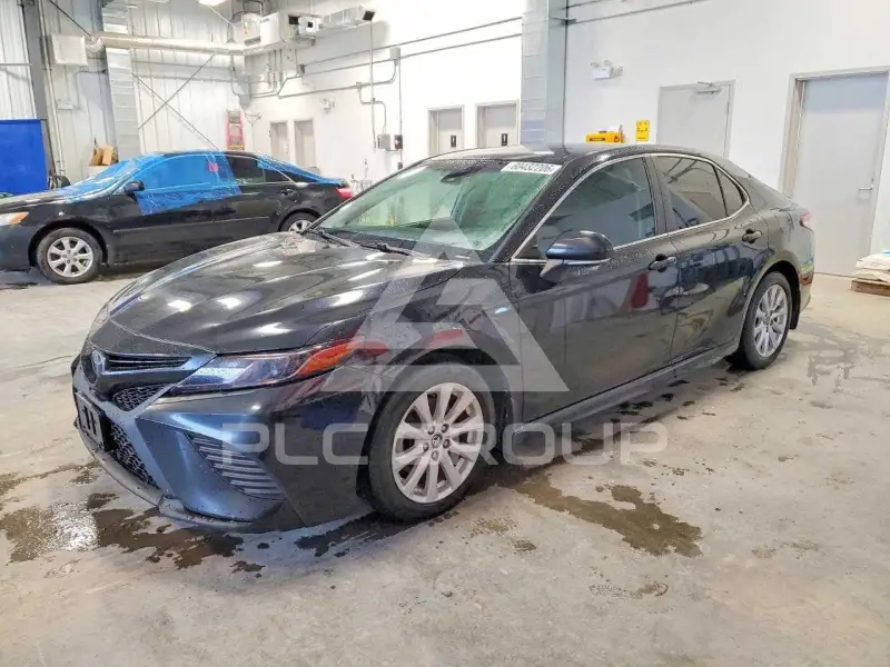 2019 Toyota CAMRY photo