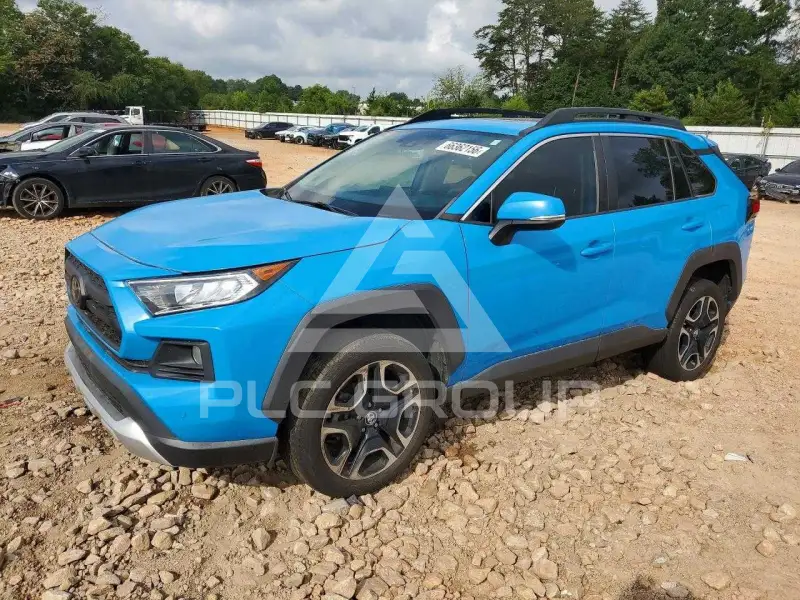 2019 Toyota RAV4 photo