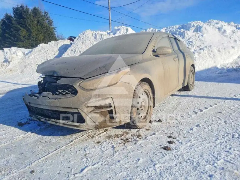 2019 KIA Forte фото