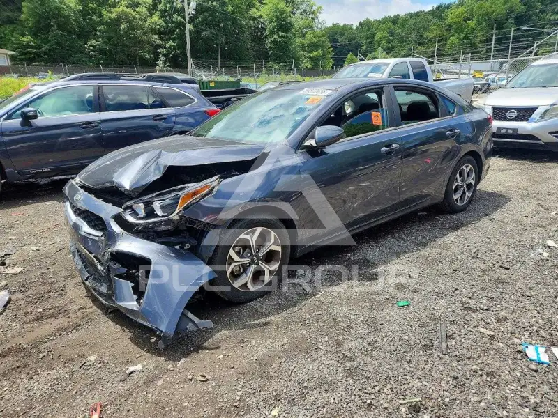 2019 KIA Forte фото