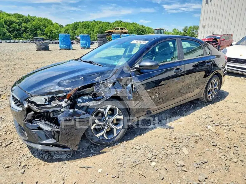 2019 KIA Forte фото