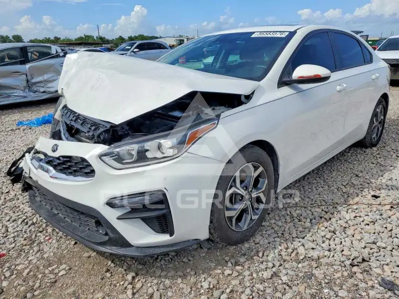 2019 KIA Forte photo