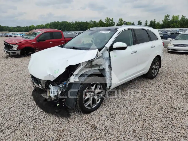 2019 KIA Sorento фото