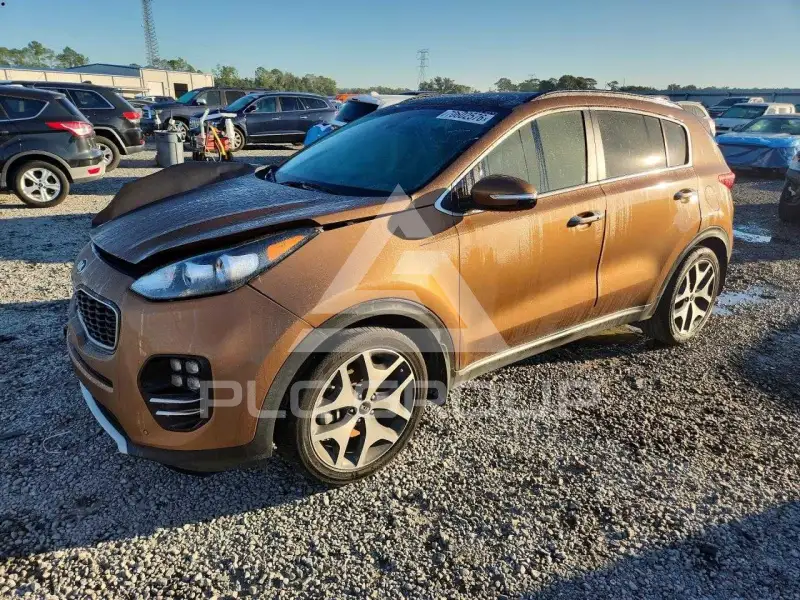 2019 KIA Sportage фото