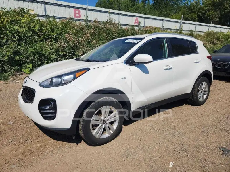 2019 KIA Sportage photo