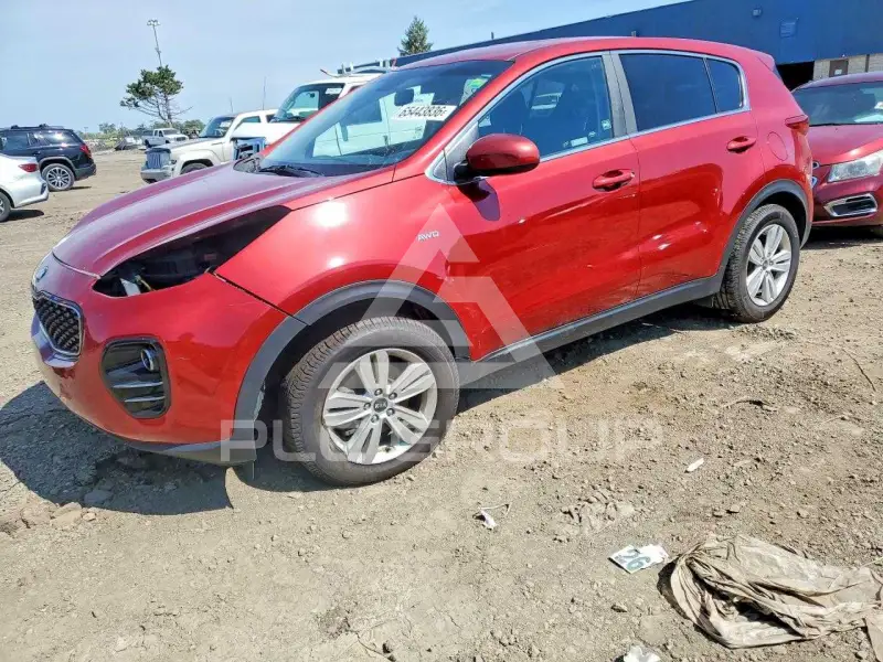 2019 KIA Sportage фото