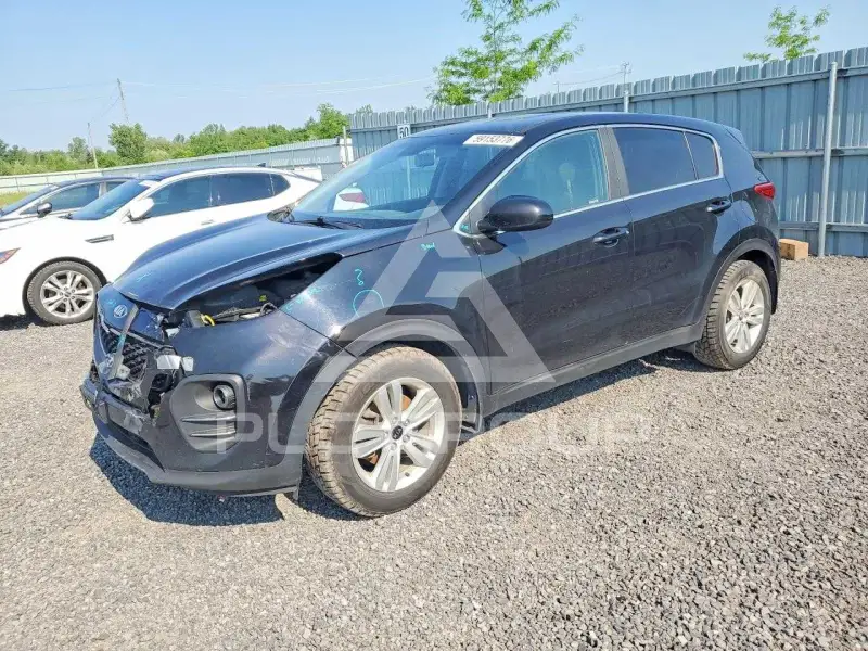 2019 KIA Sportage photo