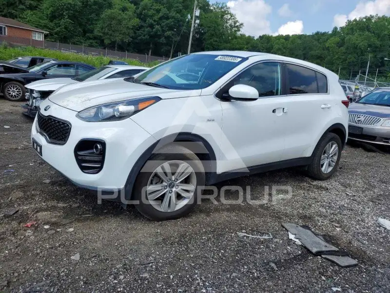 2019 KIA Sportage photo
