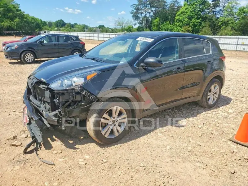 2019 KIA Sportage фото