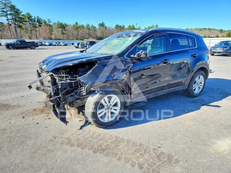 2019 KIA Sportage фото