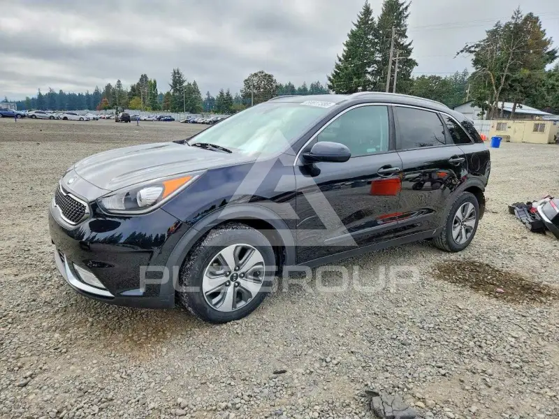 2019 KIA Niro фото