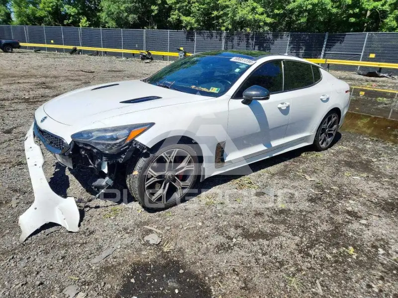 2019 KIA Stinger фото