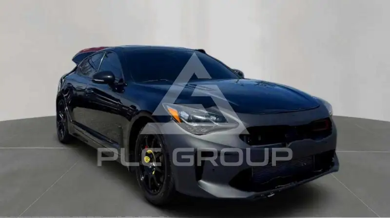 2019 KIA Stinger photo