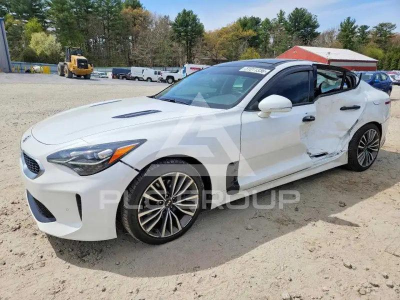 2019 KIA Stinger фото