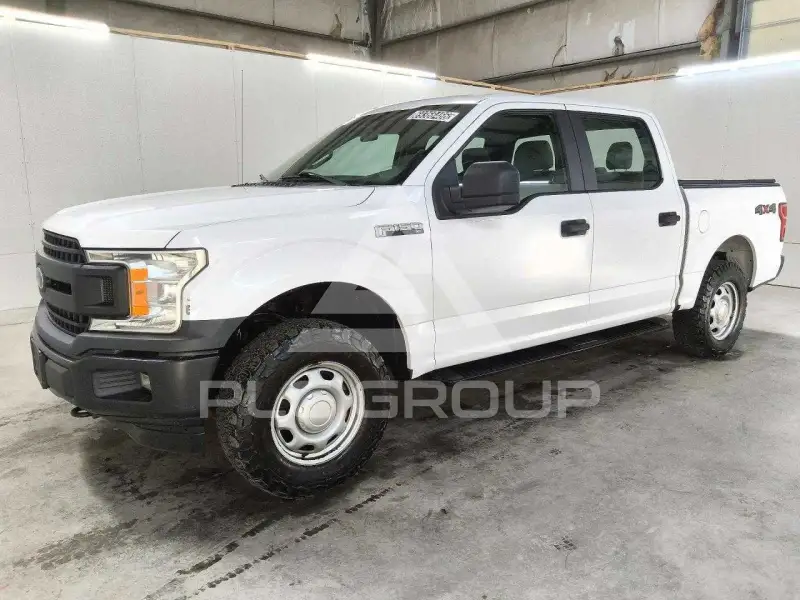 2019 Ford F-150 photo