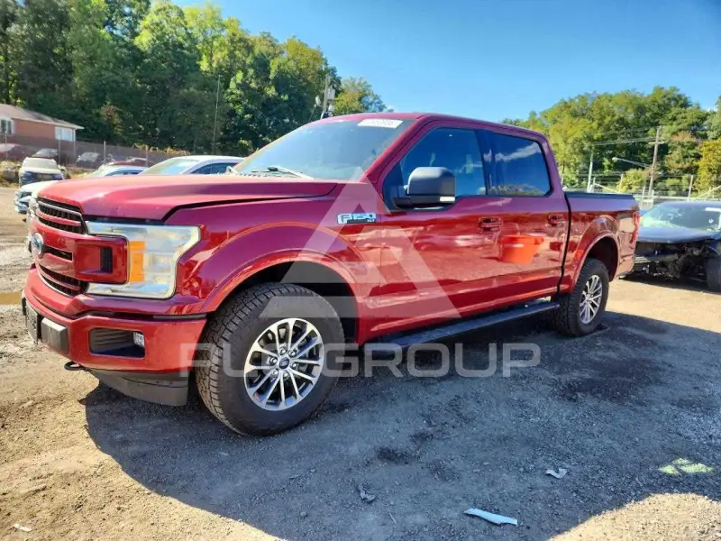 2019 Ford F-150 photo