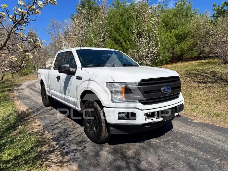 2019 Ford F-150 фото