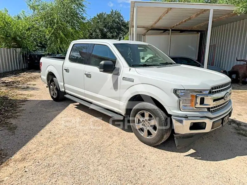 2019 Ford F-150 фото
