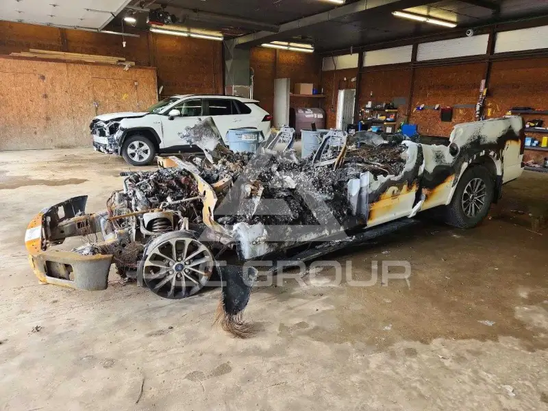 2019 Ford F-150 photo