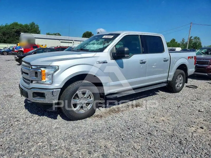 2019 Ford F-150 фото