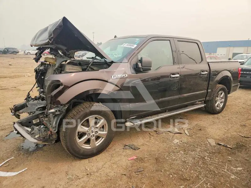 2019 Ford F-150 фото