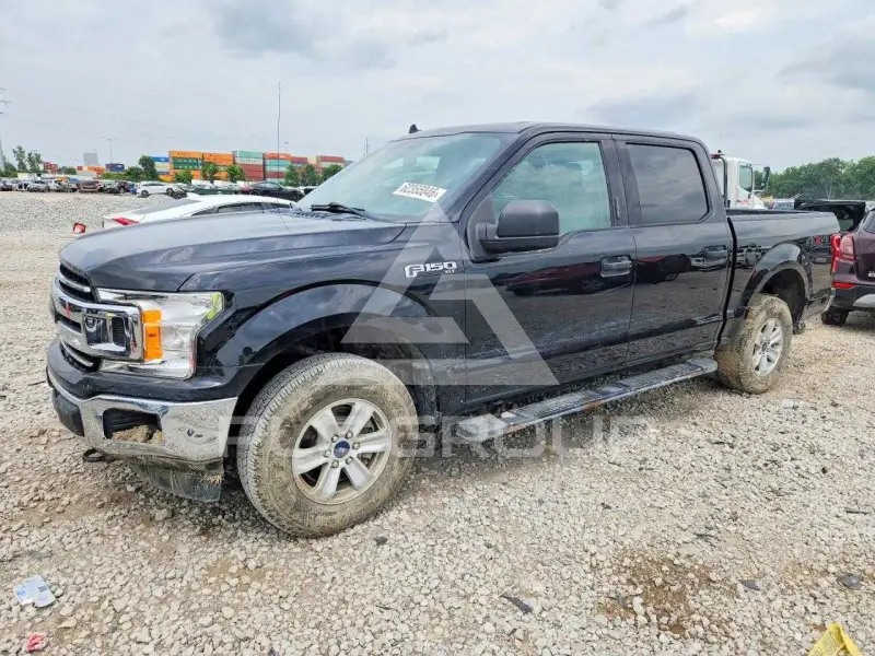 2019 Ford F-150 photo