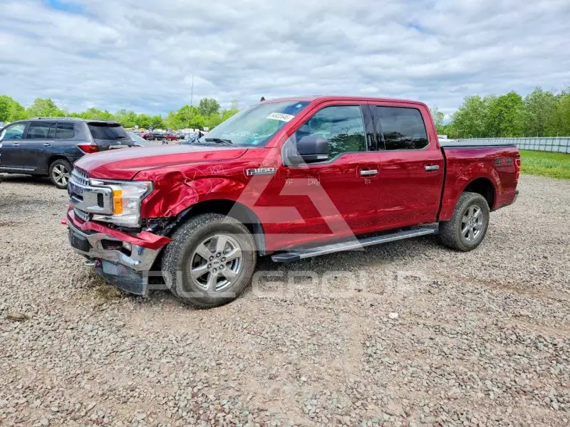 2019 Ford F-150 фото