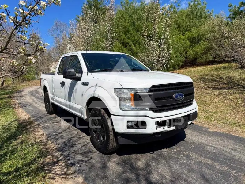 2019 Ford F-150 photo