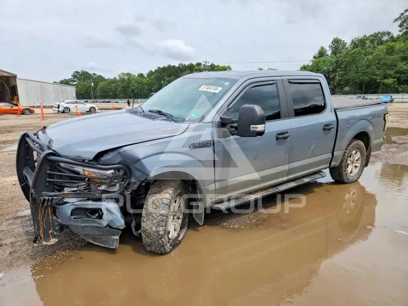 2019 Ford F-150 фото