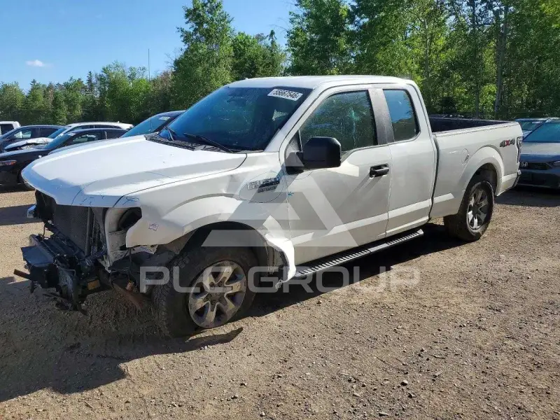2019 Ford F-150 фото