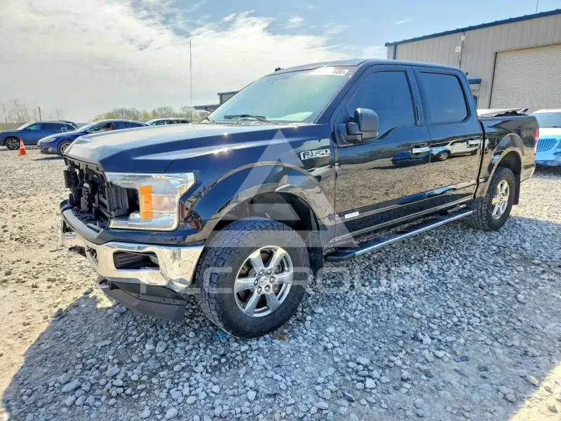 2019 Ford F-150 фото