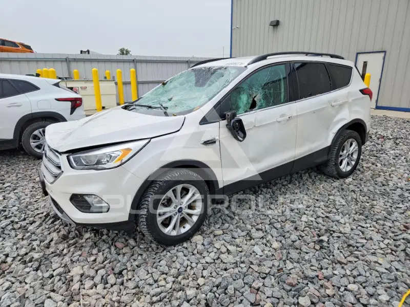 2019 Ford ESCAPE photo