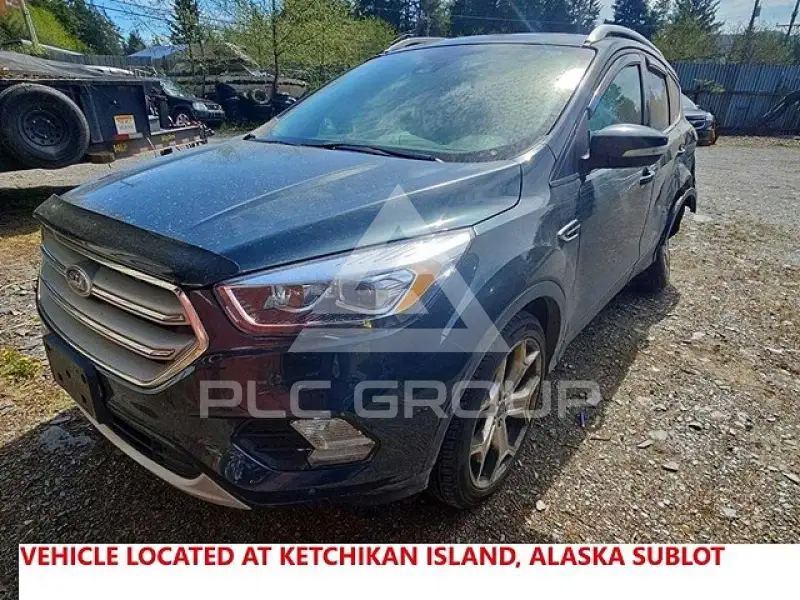 2019 Ford ESCAPE фото