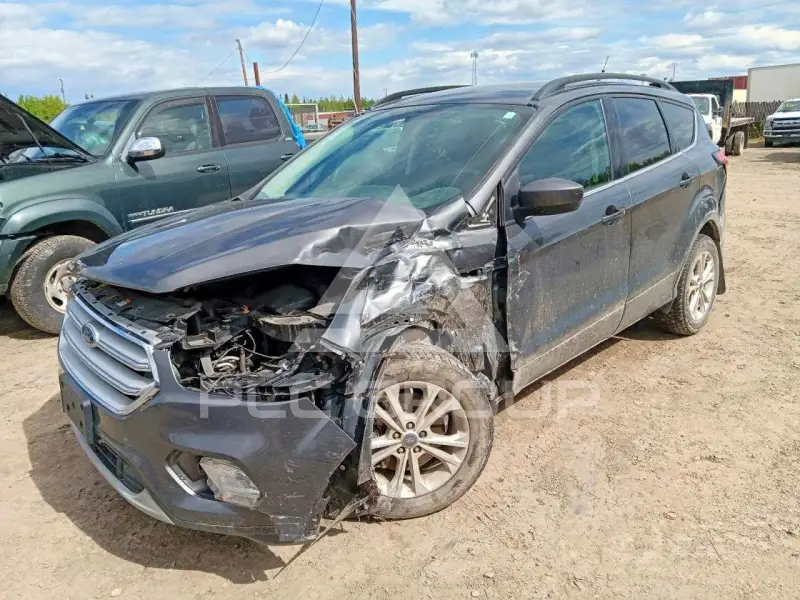2019 Ford ESCAPE фото