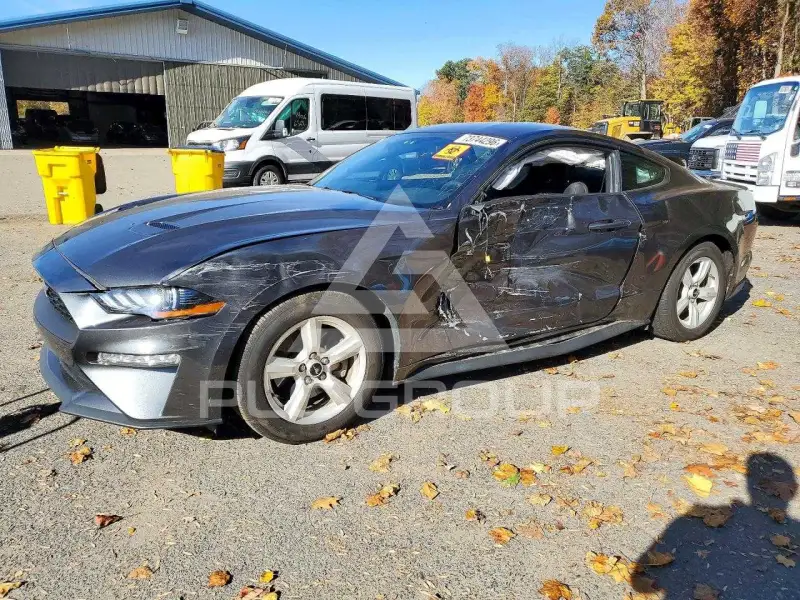 2019 Ford MUSTANG фото