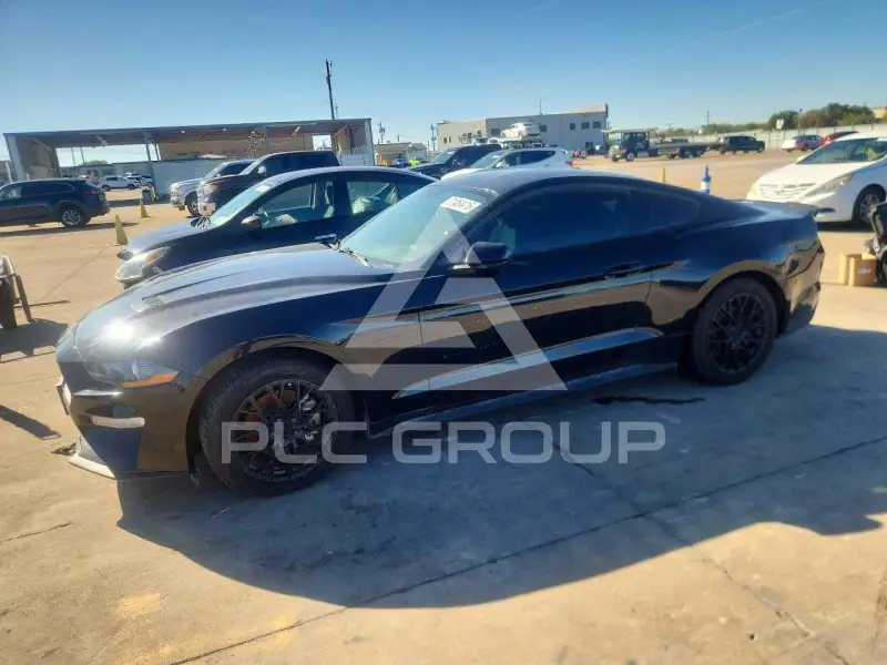 2019 Ford MUSTANG photo