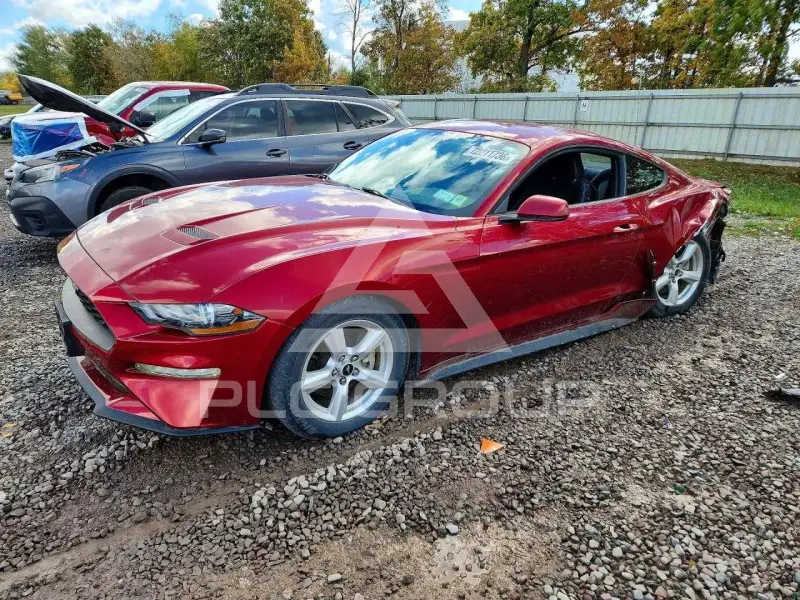 2019 Ford MUSTANG photo