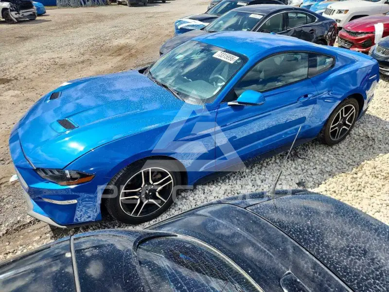 2019 Ford MUSTANG фото
