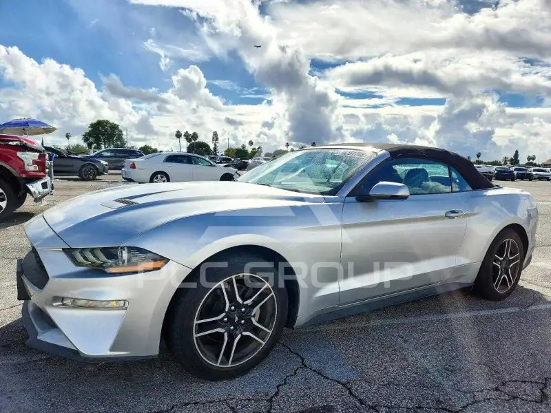 2019 Ford MUSTANG фото