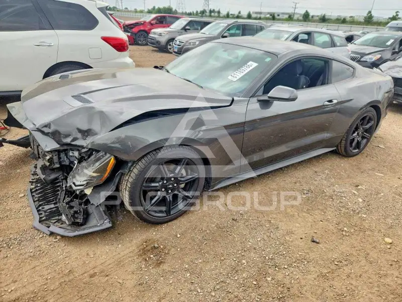 2019 Ford MUSTANG photo