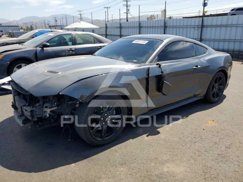 2019 Ford MUSTANG photo