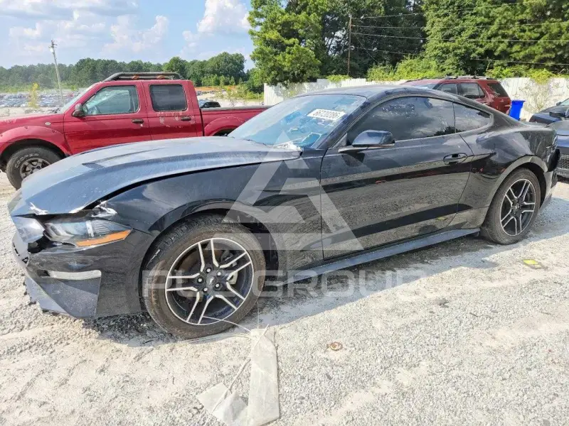 2019 Ford MUSTANG фото