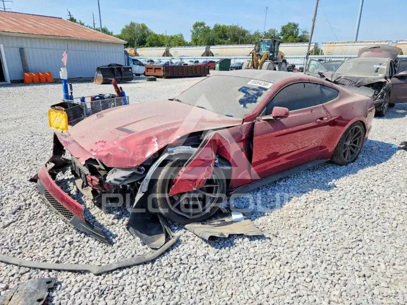 2019 Ford MUSTANG фото