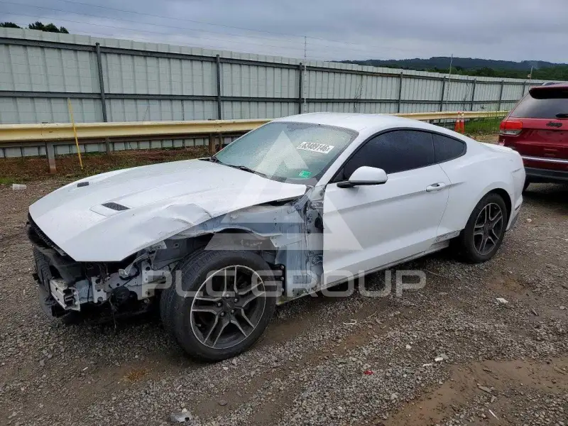 2019 Ford MUSTANG photo