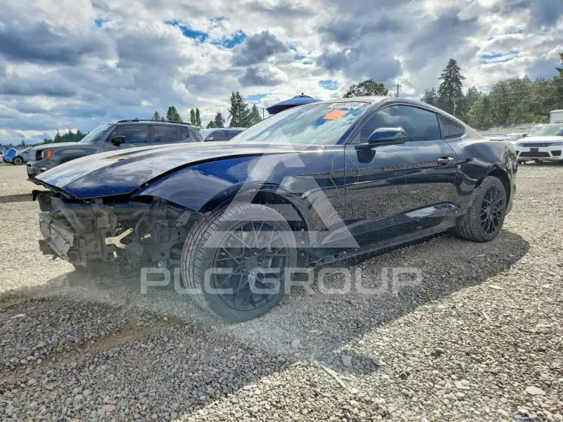 2019 Ford MUSTANG фото
