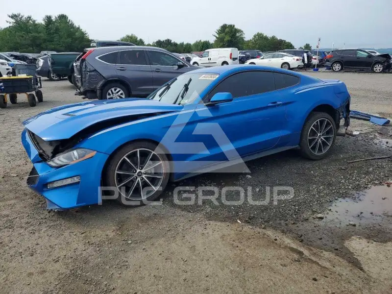 2019 Ford MUSTANG фото