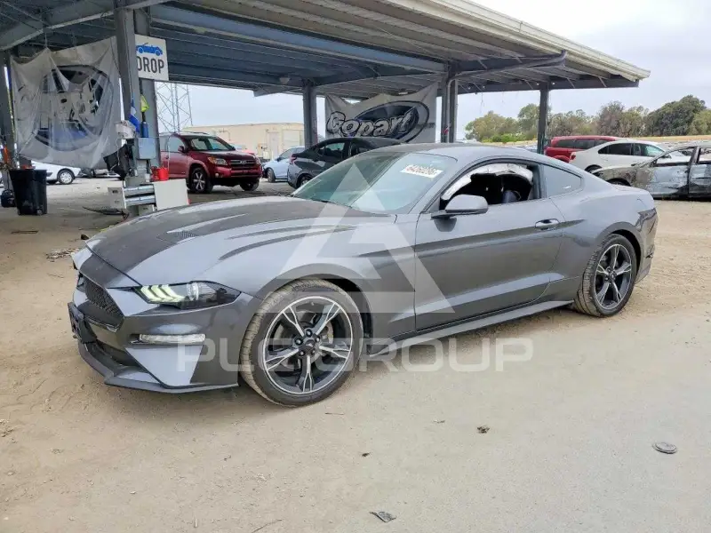 2019 Ford MUSTANG photo