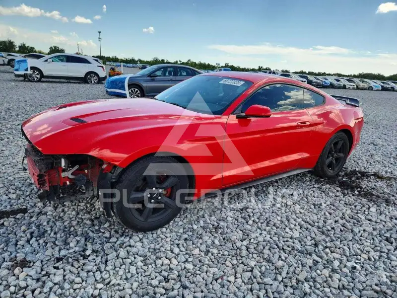 2019 Ford MUSTANG фото