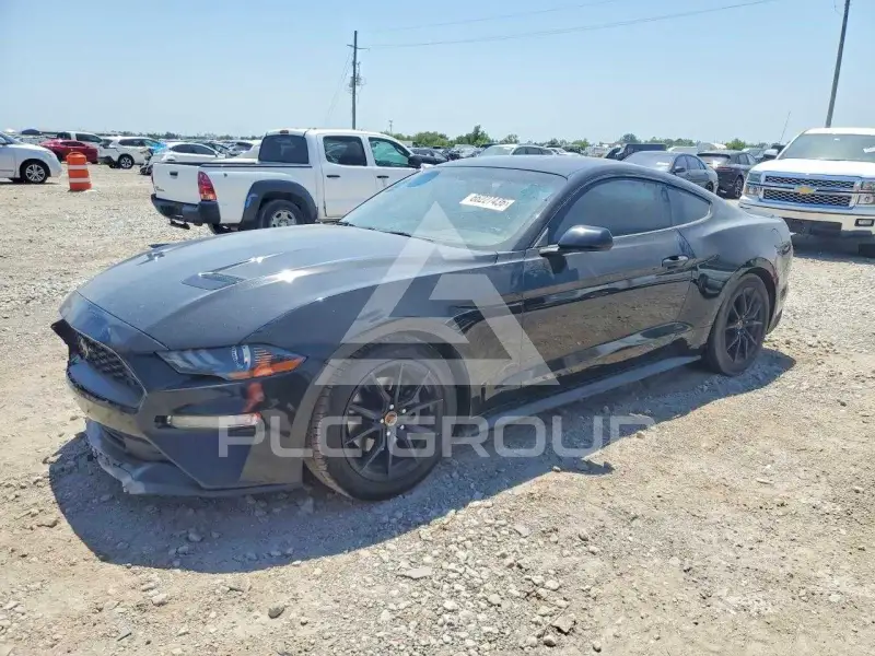 2019 Ford MUSTANG photo